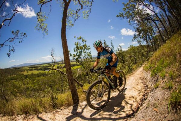 Atherton Forest Tablelands