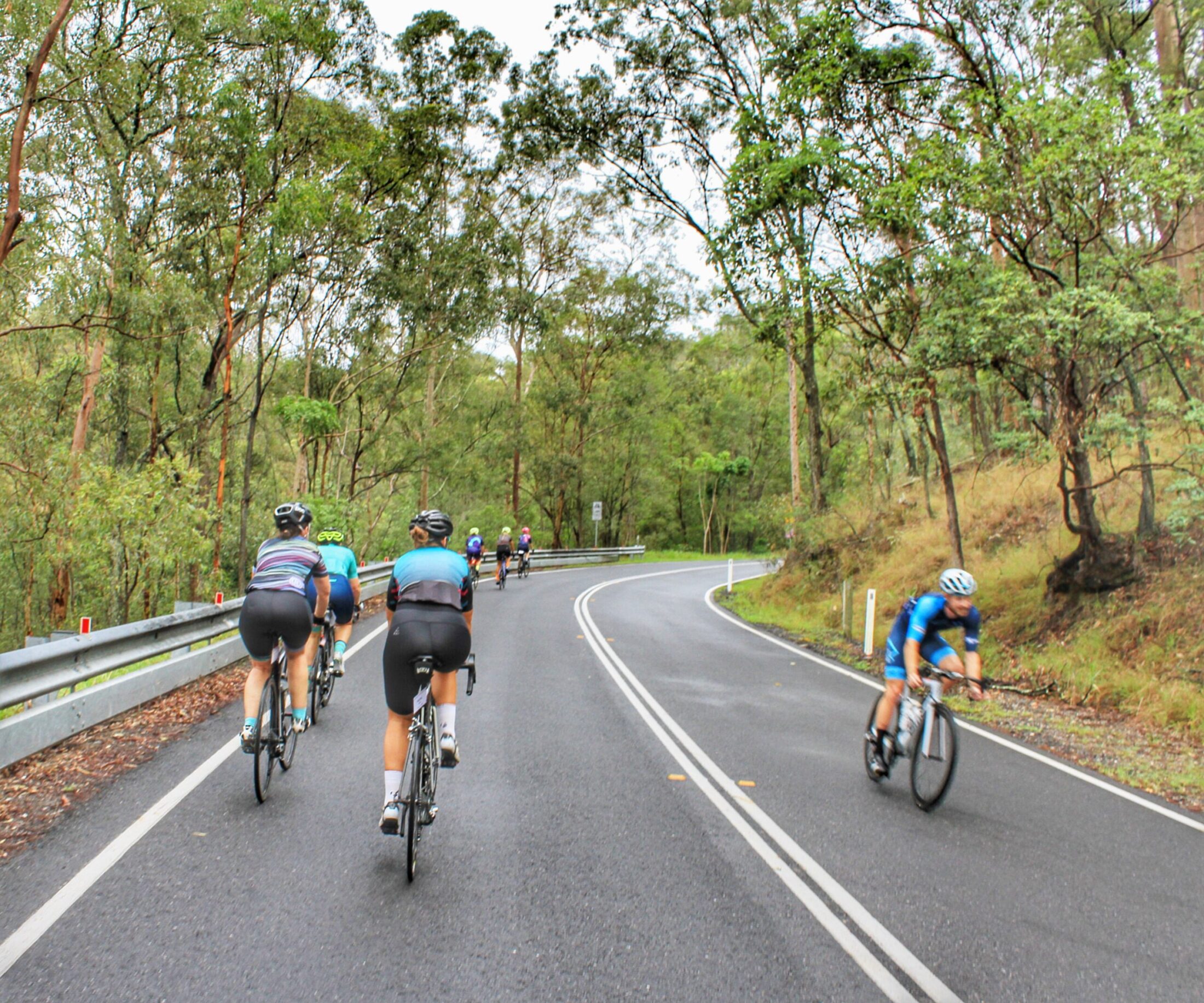 Mt Coottha Bicycle Queensland