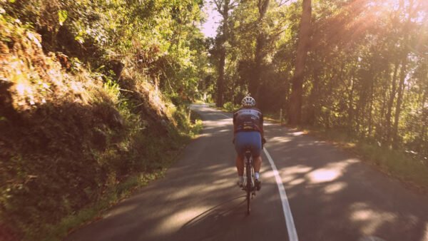 The Gap to Mt Glorious – D’Aguilar Range