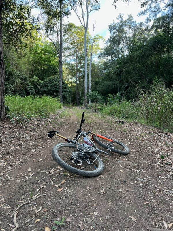 D’Aguilar side country – Whoa Boy!